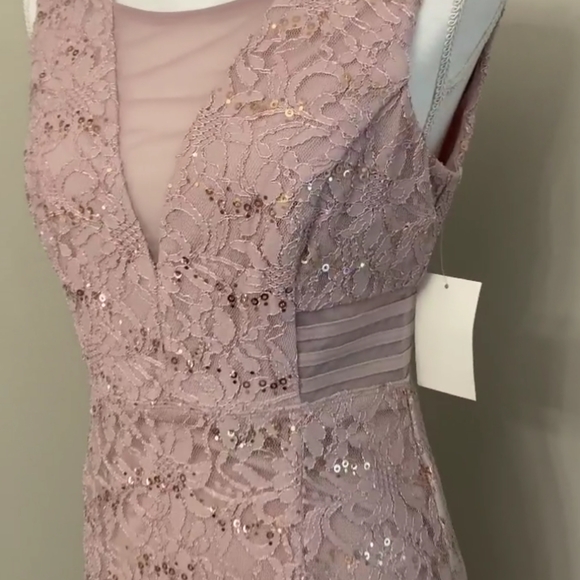 NWT Alexa B Nites Full Length Sequined Lace Dress in Blush Pink - Picture 8 of 9